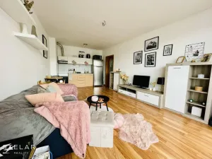 Pronájem bytu 2+kk, Opava, Hálkova, 61 m2
