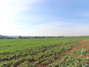 Prodej pozemku pro bydlení, Chotětov, 2109 m2