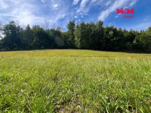 Prodej pozemku pro bydlení, Záblatí - Albrechtovice, 5047 m2