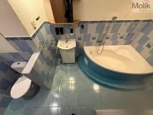 Pronájem bytu 2+1, Litvínov - Horní Litvínov, Valdštejnská, 52 m2