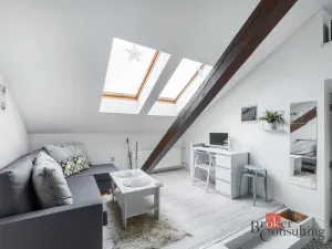 Pronájem bytu 1+kk, Praha - Nové Město, Vladislavova, 26 m2