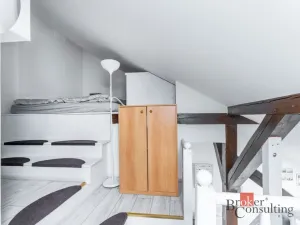 Pronájem bytu 1+kk, Praha - Nové Město, Vladislavova, 26 m2