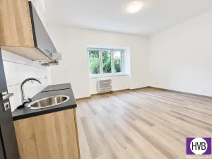 Prodej bytu 2+kk, Praha - Břevnov, Patočkova, 41 m2