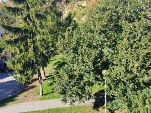Pronájem bytu 2+1, Přerov - Přerov I-Město, Jižní čtvrť I, 50 m2
