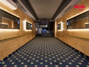 Pronájem obchodního prostoru, Uherský Brod, Moravská, 205 m2