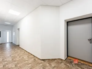 Prodej bytu 2+kk, Ostrava - Slezská Ostrava, Kovařovicova, 44 m2
