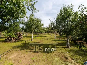 Prodej pozemku pro bydlení, Brod nad Dyjí, 1764 m2