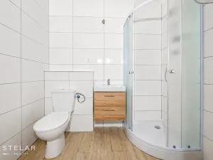 Prodej bytu 1+1, Ostrava - Přívoz, Chopinova, 28 m2