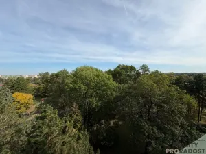 Prodej bytu 1+1, Hodonín, nám. Osvobození, 39 m2