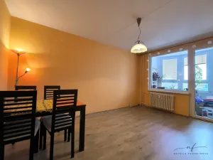 Pronájem bytu 2+1, Sokolov, Závodu míru, 55 m2