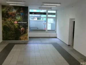 Prodej obchodního prostoru, Brno, Vodní, 400 m2