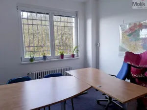 Pronájem kanceláře, Teplice, Novosedlická, 18 m2