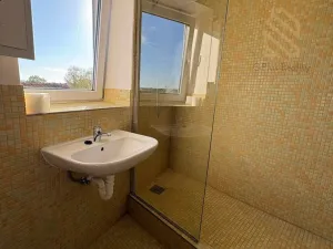 Pronájem bytu 1+kk, Černiv, 48 m2