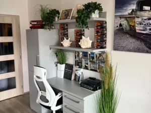 Prodej bytu 1+kk, Plzeň, Kollárova, 42 m2