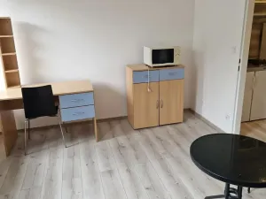 Prodej bytu 1+kk, Brno - Zábrdovice, Cejl, 23 m2