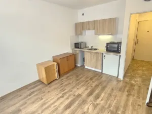 Pronájem bytu 1+kk, Ústí nad Labem - Severní Terasa, Pod Parkem, 19 m2