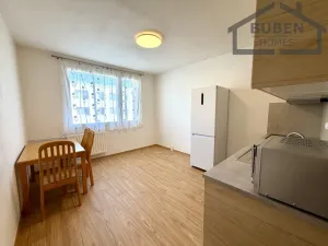 Pronájem bytu 1+1, Bor, Borská, 39 m2