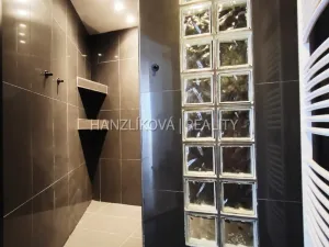 Pronájem bytu 3+kk, České Budějovice - České Budějovice 3, Skuherského, 105 m2