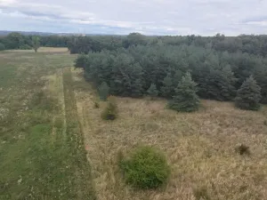Prodej pozemku, Bechlín - Předonín, 15382 m2