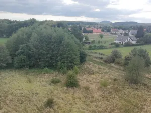 Prodej pozemku, Bechlín - Předonín, 15382 m2