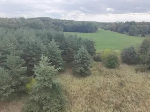 Prodej pozemku, Bechlín - Předonín, 15382 m2