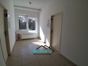 Pronájem kanceláře, Kroměříž, Spáčilova, 20 m2