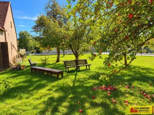 Pronájem bytu 3+1, Vysočany - Molenburk, 86 m2