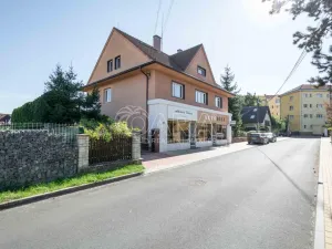 Prodej rodinného domu, Neratovice, 5. května, 411 m2