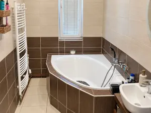 Prodej bytu 3+1, Dlouhá Loučka, Újezdská, 82 m2
