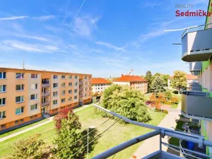 Prodej bytu 3+1, Polná, Palackého, 75 m2