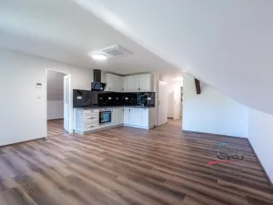 Prodej bytu 3+kk, Zlatá Olešnice, 83 m2