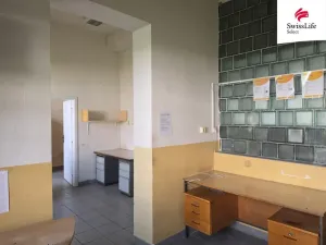 Pronájem výrobních prostor, Batelov, Tovární, 500 m2