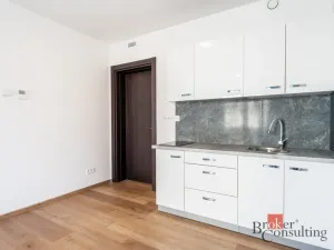 Pronájem bytu 1+kk, Olomouc - Nová Ulice, Třída Jiřího Pelikána, 31 m2