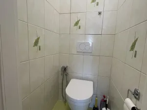 Pronájem bytu 3+1, Olomouc, U cukrovaru, 70 m2