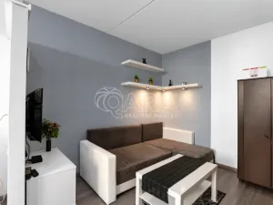 Prodej bytu 1+1, Praha - Chodov, Brodského, 29 m2