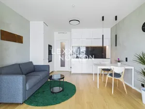 Pronájem bytu 1+kk, Praha - Michle, Hodonínská, 32 m2