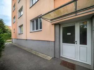 Pronájem bytu 3+1, Plzeň, Republikánská, 69 m2