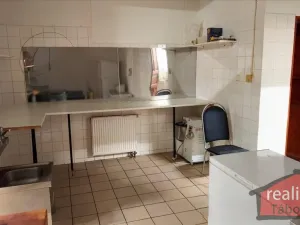 Prodej komerční nemovitosti, Nupaky, Nupacká, 241 m2