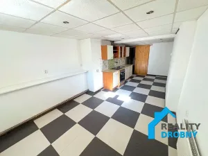 Pronájem bytu 2+1, Děčín, Hluboká, 53 m2
