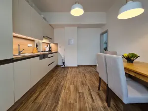 Pronájem bytu 2+1, Brno, Gorkého, 59 m2