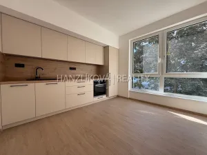 Pronájem bytu 2+kk, České Budějovice, Hálkova, 36 m2