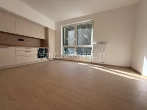 Pronájem bytu 2+kk, České Budějovice, Hálkova, 36 m2