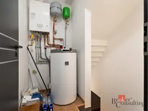 Prodej vily, Plzeň - Červený Hrádek, Borůvková, 316 m2