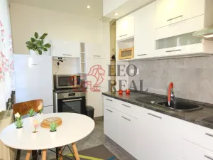 Prodej bytu 1+1, Příbor, npor. Loma, 32 m2