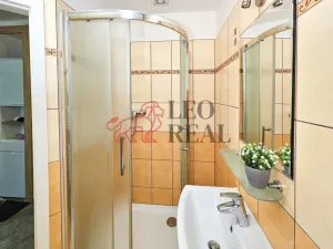 Prodej bytu 1+1, Příbor, npor. Loma, 32 m2