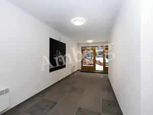 Pronájem bytu 1+kk, Praha - Karlín, Křižíkova, 32 m2