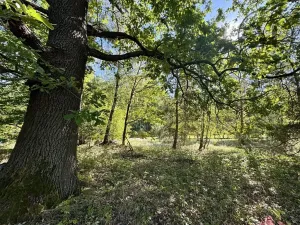 Prodej pozemku pro bydlení, Třeboň, 2630 m2