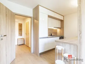 Prodej bytu 1+kk, Brno - Židenice, Blatnická, 33 m2