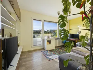 Prodej bytu 3+1, Brno, Neužilova, 68 m2
