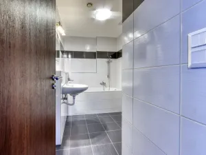 Prodej bytu 2+1, Plzeň, U Borských kasáren, 57 m2
